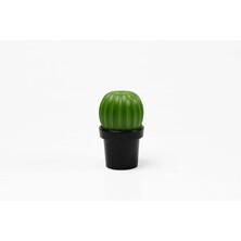 МЕЛЬНИЦА ДЛЯ СПЕЦИЙ Tasty Cactus